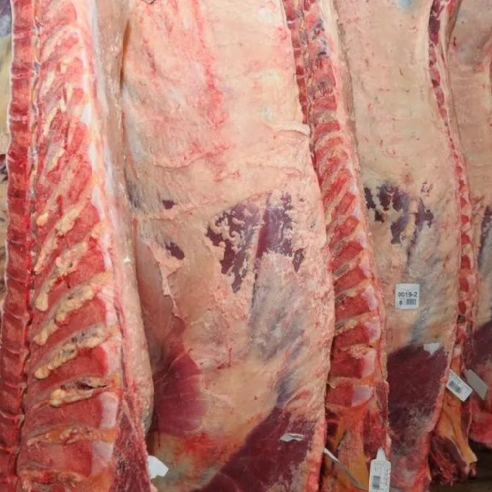 Diseño sin título (14)