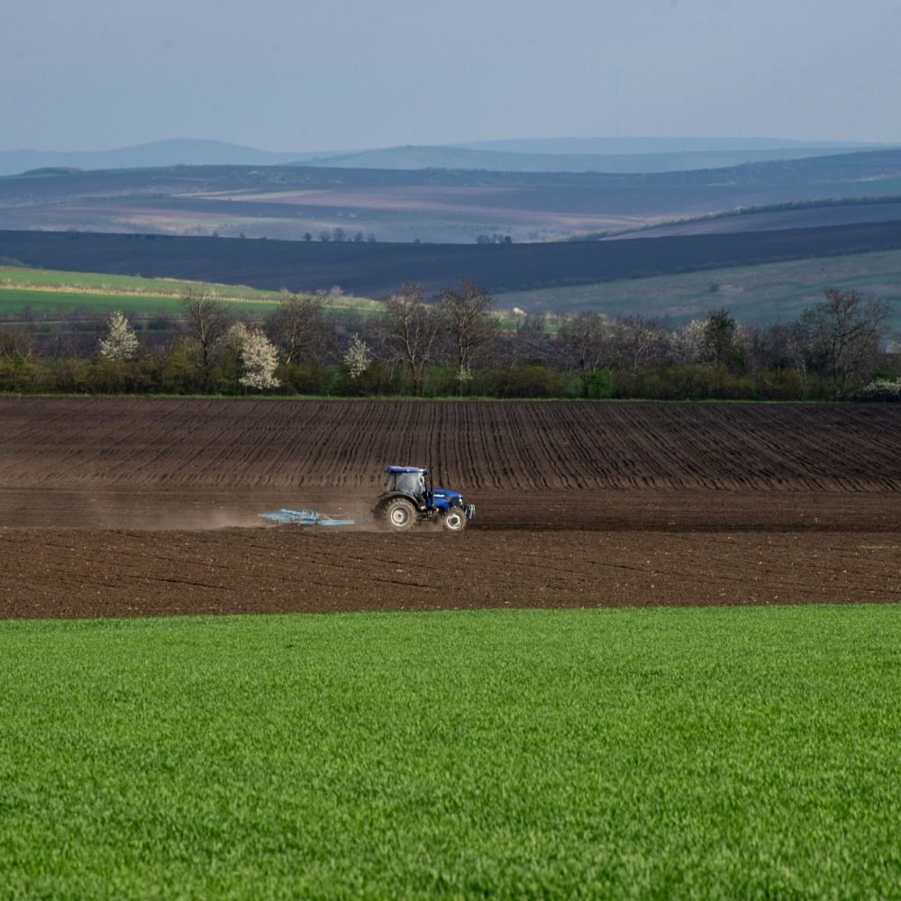 ghenadie-cebanu-_kBKZeT-EQs-unsplash