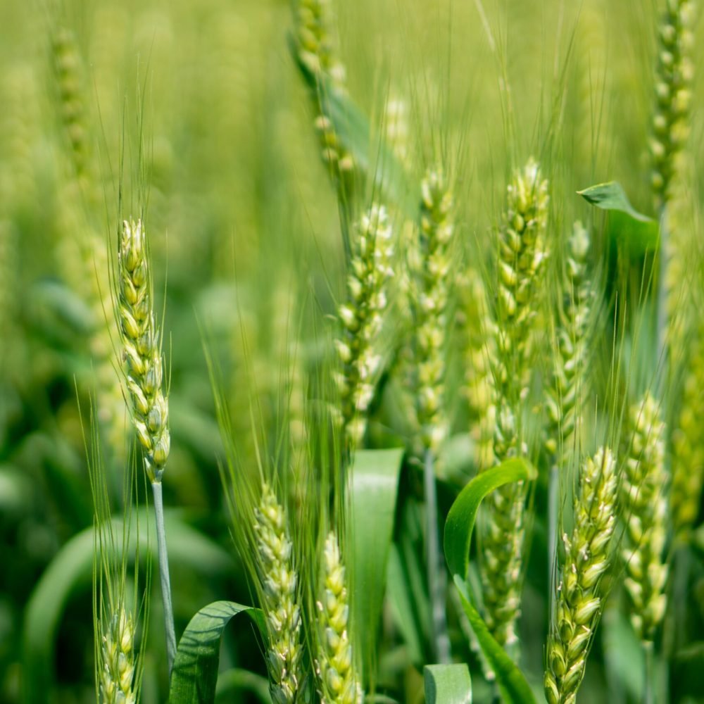 zhao-yangjun-9pZCh8Jwf4s-unsplash